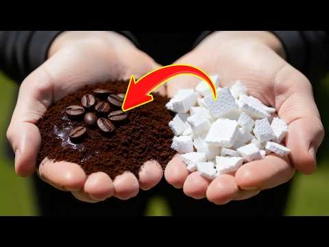 Don’t Throw Away Coffee Grounds and Styrofoam! You Won’t Believe This DIY Hack!
