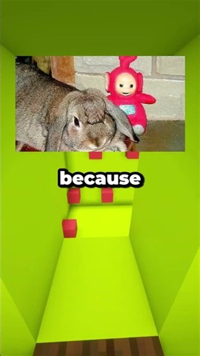 Teletubbies Giant Rabbit Secret 🐰📺