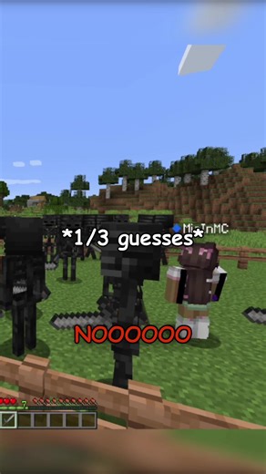 WITHER SKELETON HIDING #minecraft #foryoupage #foryou #mcyt #fyp | minecraft game