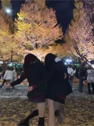 銀杏の美しいイチョウ並木旅