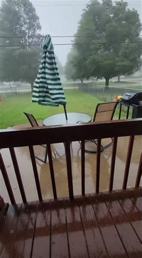 Microburst Hurls Debris at Me! 🌪️