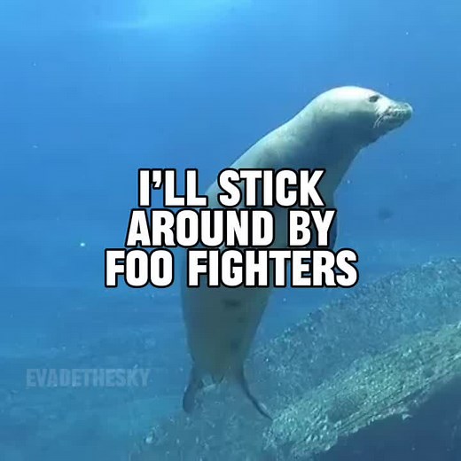 Exploring 'I'll Stick Around' by Foo Fighters Music Video