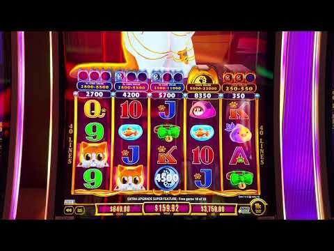 Buying $3750 Bonuses Until We Win