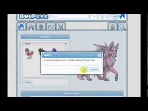 Let's Play OviPets: The Basics