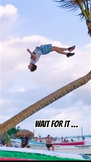 Impressive Layout Backflip off a Palm Tree 😳