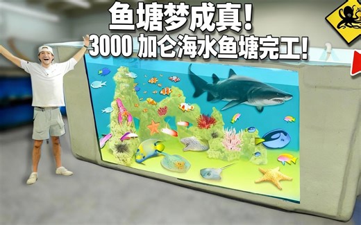 [中配]鱼塘梦成真！3000加仑海水鱼塘完工！ - The Fish Guys