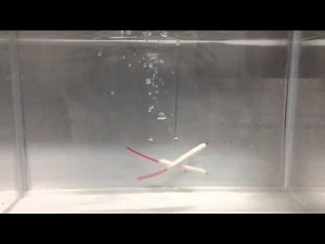 TICT MキャロNタイプ、Lタイプ沈降姿勢比較