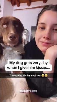 Dogs Giving Kisses Like a Rom-Com Scene 🐶😂 #funnydogs #dogs #pets #cute #kiss #funny #usa #shorts