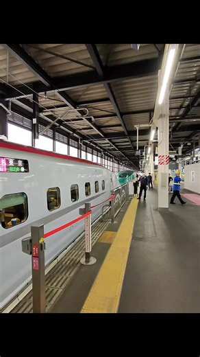 E6 Shinkansen Secret 🤐 #japan #train #jji #e6 #shinkansen | Japan Japan Ichiban