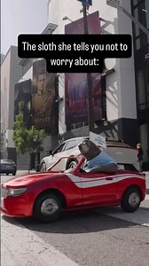 Zootopia sloth in the wild! 🦥🚗#zootopia2 @disneyanimation