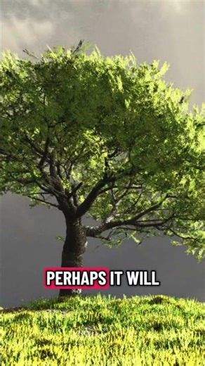 The parable of the Barren Fig Tree — Luke 13:6–9 #biblestudy #scriptureexplained #parablesofjesus