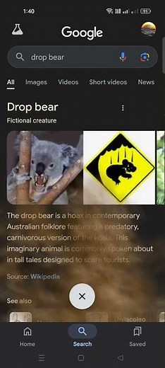 drop bear google search tricks#dropbear #google tricks