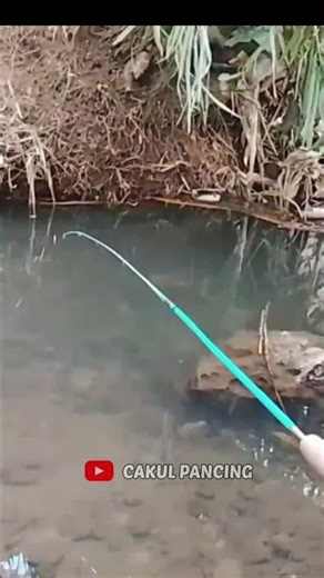 wader fishing #cakulpancing