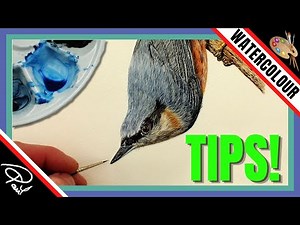 Watercolour Step by Step Painting - How To Paint Feathers on a Beautiful Bird