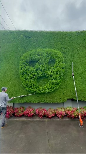 😮 @bicepmusic #wow #shook #asmr #satisfying #hedgie #hedgetok