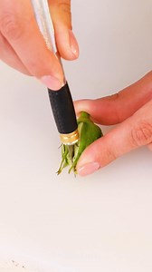 Tips for Your Green Friends! 🌱 | 5-Minute Crafts Green