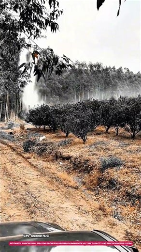 Automatic Agricultural Spraying Drone for Orchard Farming with 20L Tank Capacity #agriculturaldrone