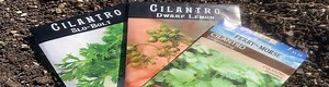 Getting Started with Cilantro - UF/IFAS Extension Escambia County