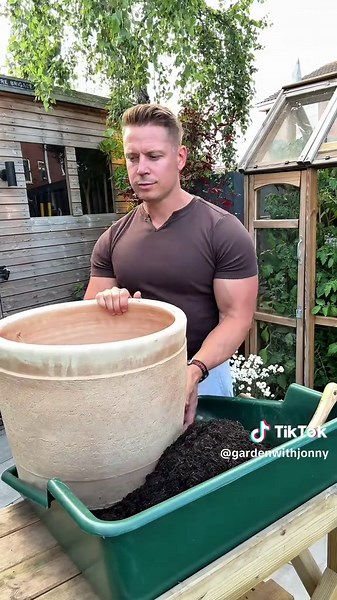 Acer Palmatum Red Emperor: A Stunning Tree for Gardens