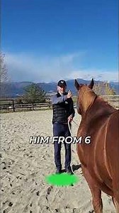 Master Horse Training: Clock Face Secrets Revealed! #shorts