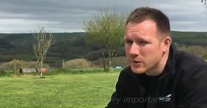 123K views · 604 reactions |  The Welsh pups being trained to fight...