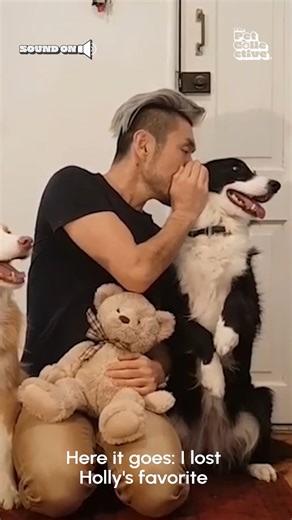 This pup knows how to spill the tea! 🤣💕🐶🫖 #WorldCollieDay | The Pet Collective