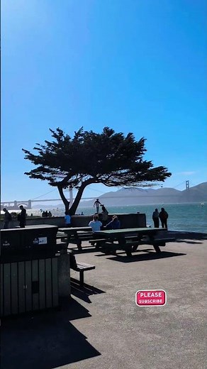 San Francisco: Marina Yacht Harbor Coastal Walk & Sunny Blue Skies ☀️ #california #Sanfrancisco #SF