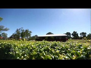 EF 16-35mm f/2.8L II USM (Landscape Shoot)