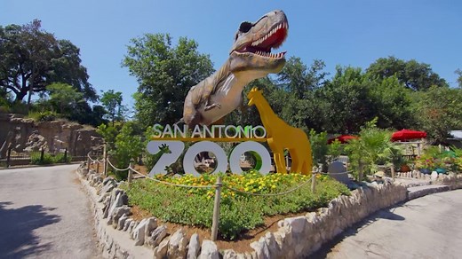 San Antonio Zoo offering $8 Locals Day and Pokémon GO event this weekend