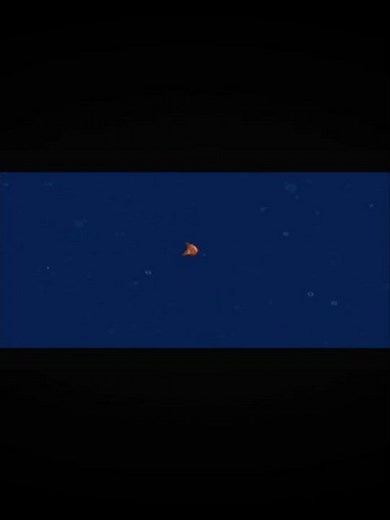 A perfectly timed fail from when I played the Finding Nemo game on PS2