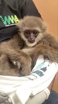 This Week in Wildlife in Photos