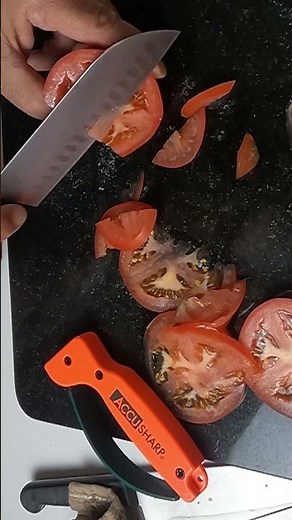 Accusharp Knife Sharpener