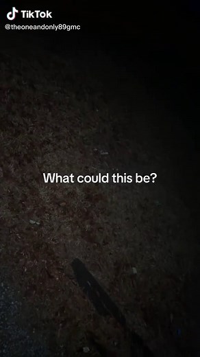 #fyppppppppppppppppppppppp #mechaniclife #fypシ゚viral #4l60etransmission