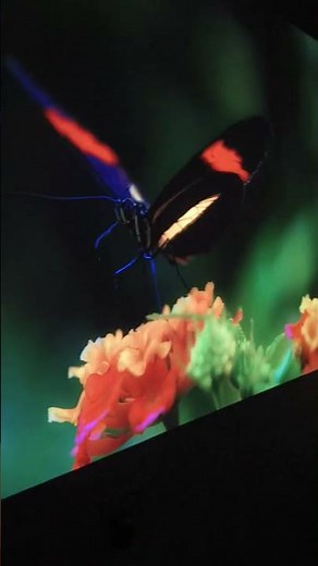 Brightest Budget Projector? Pixpaq Ray 4K Test in Low Light! 👀✨