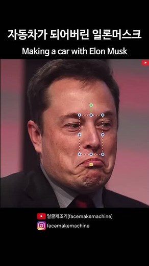 자동차가 되어버린 일론머스크