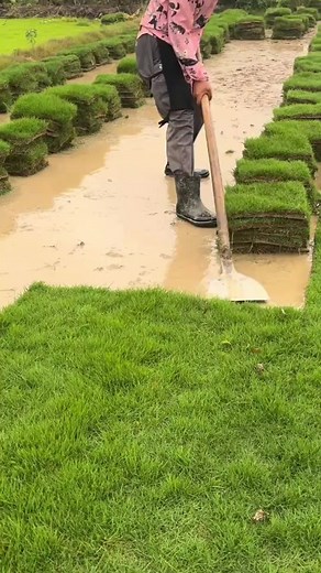 Giao tiếp thông minh: ứng xử khéo léo khi nói chuyện với anh trai