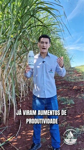 Aloe Plus na Cana | Mais vigor e potencial produtivo até a colheita