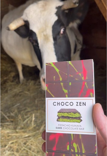 Feeding a Cow: Chocolate Bar and Bread in a Barn
