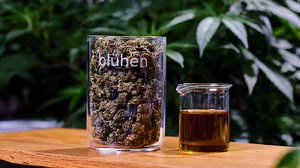 Hemp, CBD oil wellness center coming to Old City with products made in Knoxville