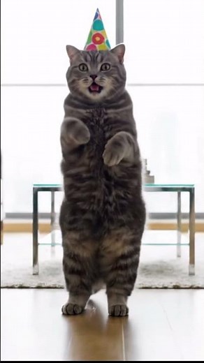🎉 Funny Cat in a Birthday Hat Dancing! 🐱💃 #dancingcat #cats