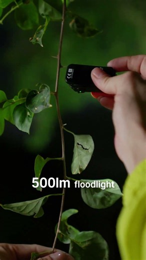 Is This the Best Summer EDC Light? #olightworld #edc #flashlight