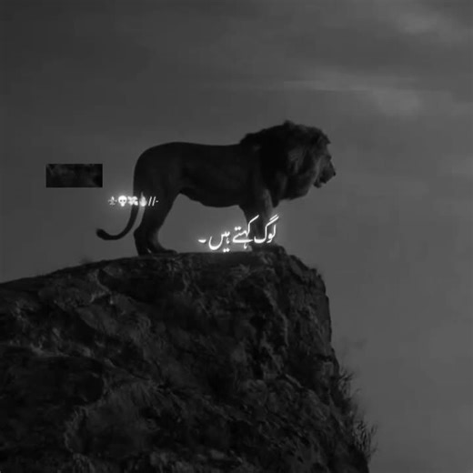 beshak 🔥🦁::: #fypppppppppppppppppppppppppppppppppppppppppppppppppppppppppppppppppppp #fypppppppppppppppppppppppppppppppppppppppppppppppppppppppppppppppppppp #fypppppppppppppppppppppppppppppppppppppppppppppppppppppppppppppppppppp #fypppppppppppppppppppppppppppppppppppppppppppppppppppppppppppppppppppp #fypppppppppppppppppppppppppppppppppppppppppppppppppppppppppppppppppppp