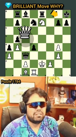 The Queen Move That Breaks Chess #chess #shorts #brilliantmove