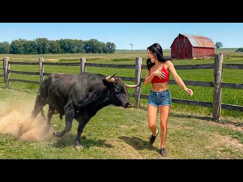 The Funniest Farm Animal And Tractor Fails!