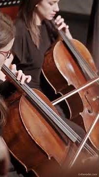 bhaja govindam song by ms subbulakshmi carnatic classical music krishna bhajan carnatic so