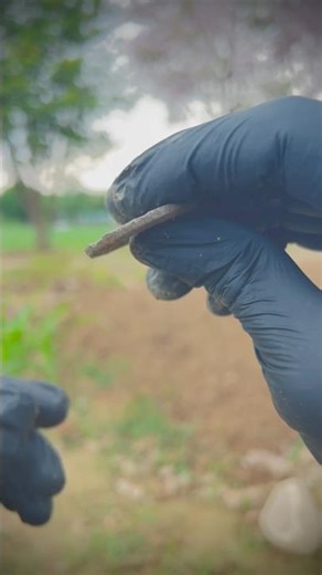 Day 81 of 150 - seriously 😳 🤔