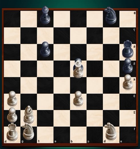 Human vs computer who will win (Chess YT)