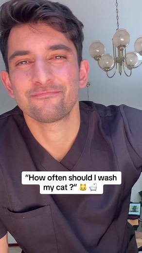 How Often Should You Wash Your Cat? Essential Tips