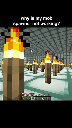 Why is my mob spawner not working?? #minecraft