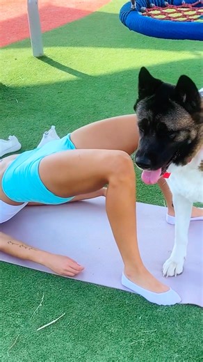 Big Dog vs. Beautiful Girl Workout Battle 💥🐶 #dogs #dogfunny #funnyanimals #shorts #homeworkout